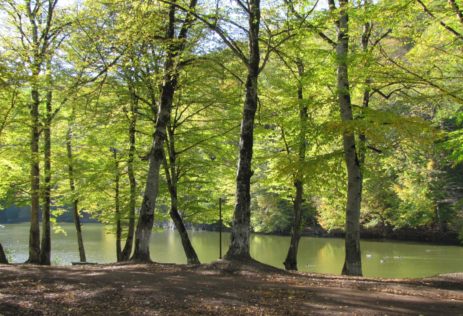 DIlijan Lake Parz, Armenia