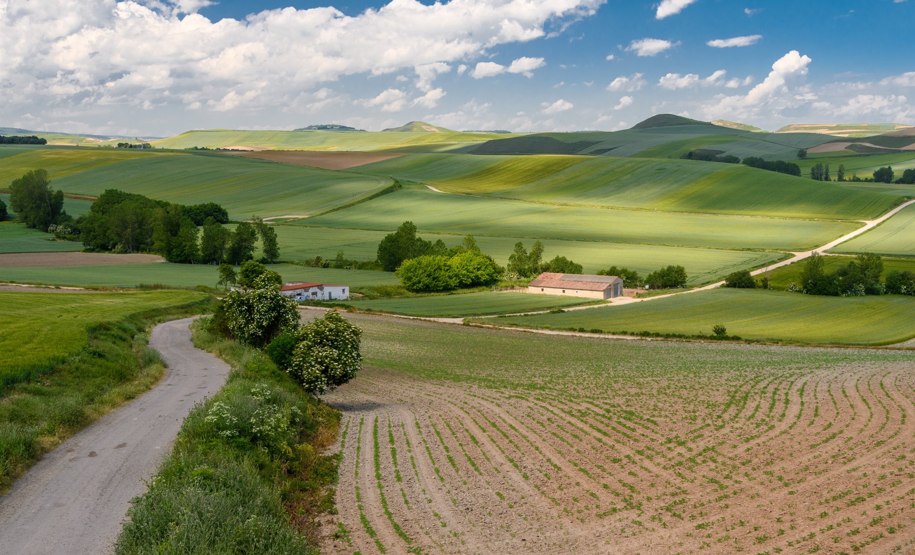 Rioja, Spain