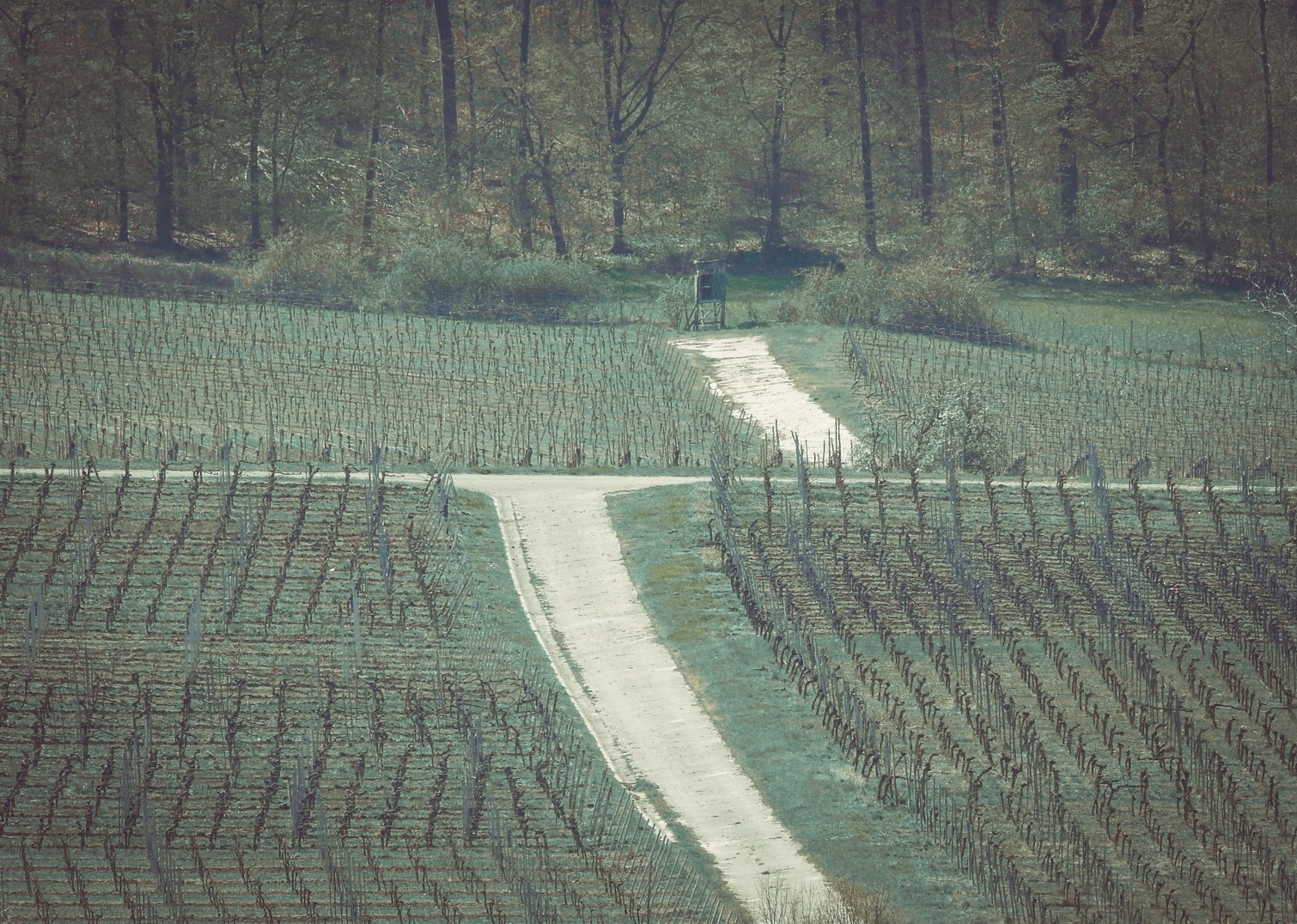 Farms in Bavaria