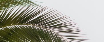 Summer travel. Photo by Daniel Schludi