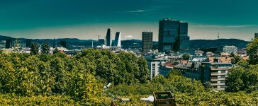 Voli economici per Basilea Svizzera