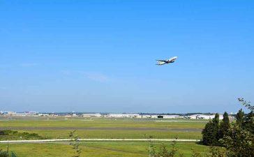 Brussels Airport flights