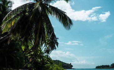 French Guiana, Cayenne