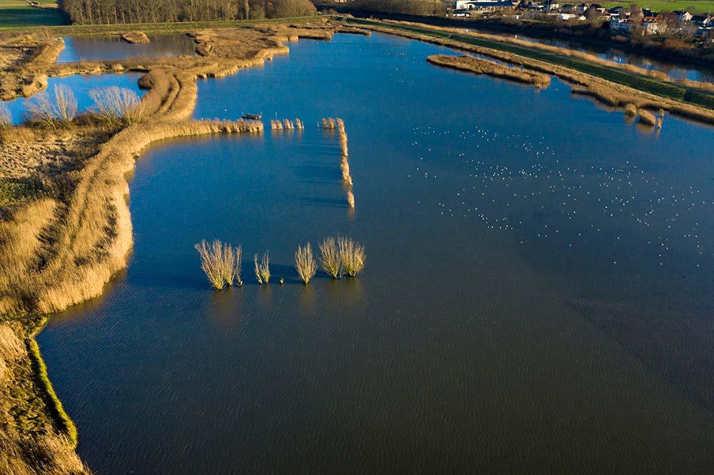 Scheldt River