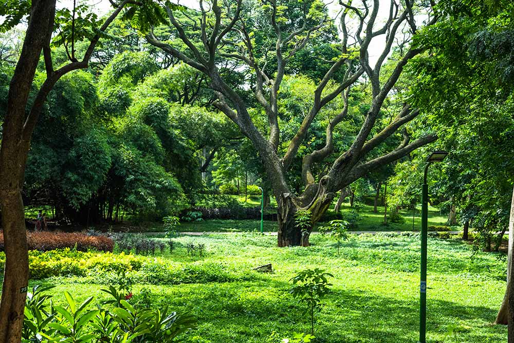 Cubbon Park Bengaluru, India