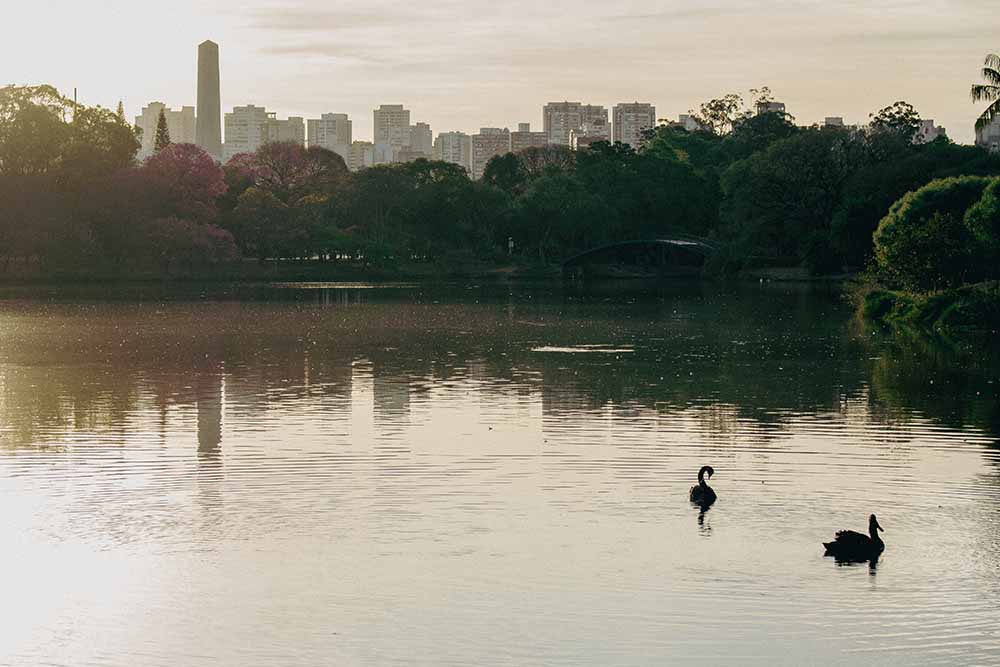 Parque Ibirapuera, São Paulo, Brazil